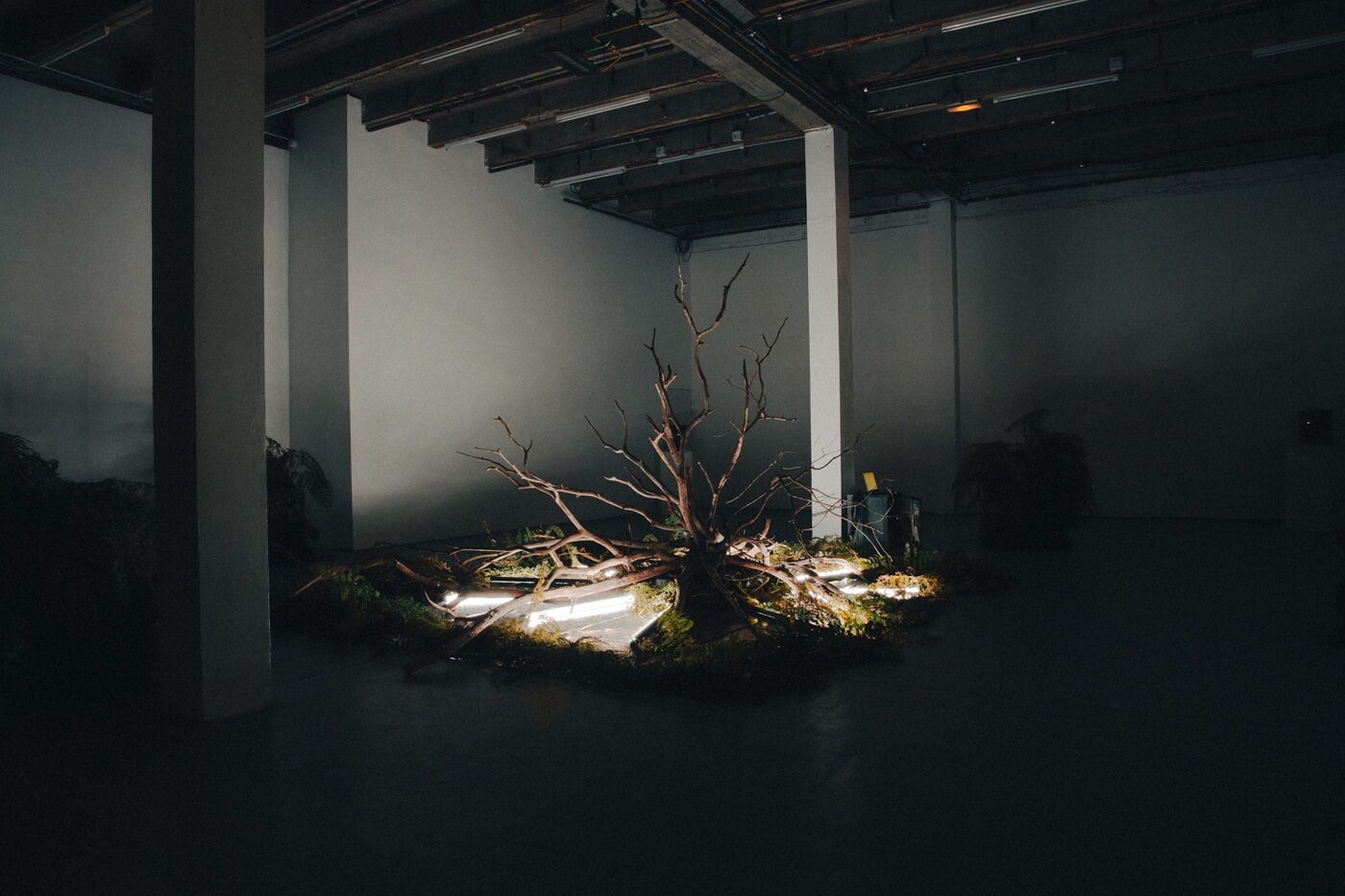 Photographe : Alexandre Wallon